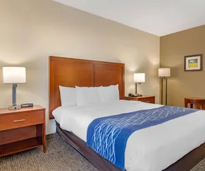 Photo 5 - Comfort Inn Douglasville - Atlanta West