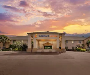 Photo 2 - Comfort Suites Milledgeville