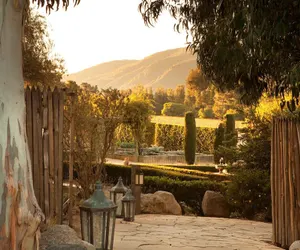 Photo 2 - Bernardus Lodge & Spa