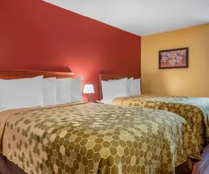 Photo 5 - Econo Lodge Inn & Suites Maingate Central