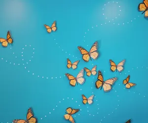 Photo 4 - Marin Suites Hotel