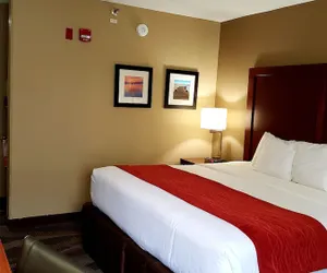 Photo 5 - Comfort Inn Pensacola - University Area