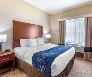 Photo 5 - Comfort Suites Near Denver Downtown