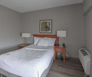 Photo 4 - La Quinta Inn & Suites by Wyndham New Haven