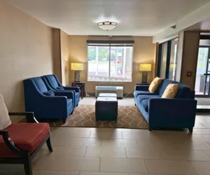 Photo 5 - Comfort Inn Falls Church - Tysons Corner