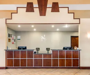 Photo 4 - Quality Inn & Suites Tarpon Springs South