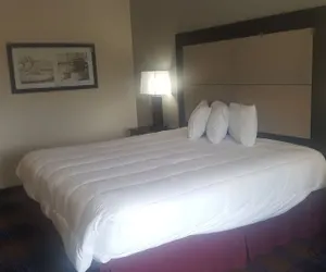 Photo 5 - Regency inn and Suites