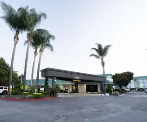 Photo 2 - Holiday Inn Dublin-Pleasanton by IHG