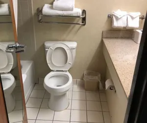 Photo 3 - Holiday Inn Indianapolis Airport Area N by IHG