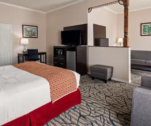 Photo 5 - Best Western Spring Hill Inn & Suites