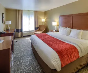 Photo 2 - Comfort Inn Brunswick