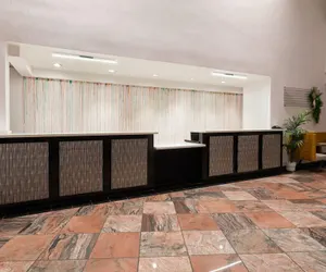 Photo 4 - Wyndham Garden Norfolk Downtown
