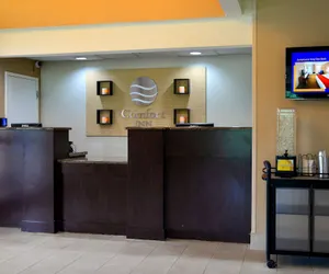 Photo 3 - Comfort Inn University Durham - Chapel Hill