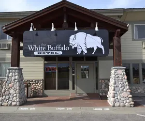 Photo 2 - White Buffalo