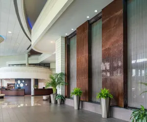 Photo 4 - Sheraton Tampa Brandon Hotel