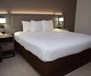 Photo 2 - Comfort Inn & Suites Syracuse-Carrier Circle