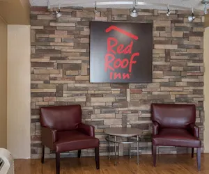 Photo 4 - Red Roof Inn Tampa - Brandon