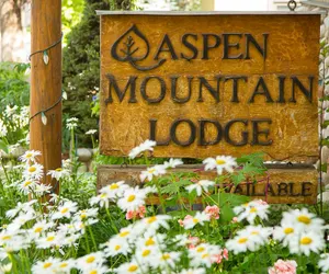 Photo 2 - Aspen Mountain Lodge