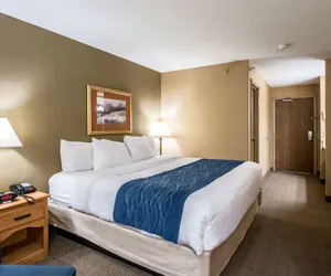 Photo 4 - Comfort Inn Grand Junction I-70