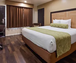 Photo 5 - Best Western Plus Glendale