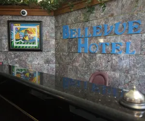 Photo 3 - Bellevue Hotel & Suites