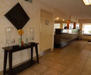 Photo 2 - Tree Inn & Suites Albuquerque.