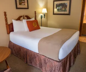 Photo 3 - Wild Bear Inn