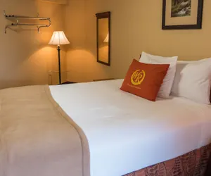 Photo 5 - Wild Bear Inn