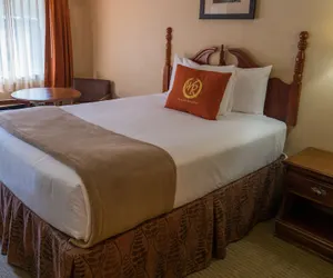 Photo 4 - Wild Bear Inn