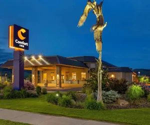 Photo 2 - Comfort Inn Bozeman near University