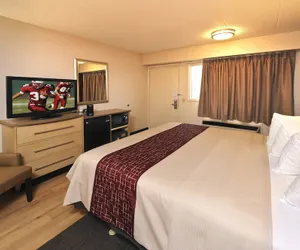 Photo 5 - Red Roof Inn Louisville East - Hurstbourne