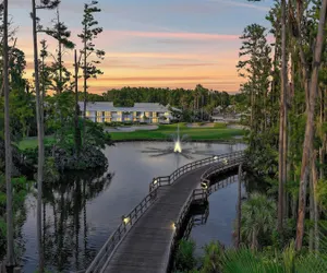 Photo 2 - Saddlebrook Resort