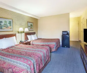 Photo 5 - Travelodge by Wyndham Winchester