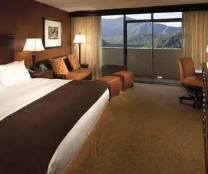 Photo 5 - The Park Vista - a DoubleTree by Hilton Hotel - Gatlinburg