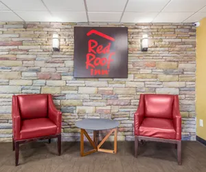 Photo 4 - Red Roof Inn Cincinnati Airport–Florence/ Erlanger