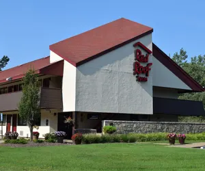 Photo 2 - Red Roof Inn Buffalo - Niagara Airport