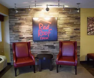 Photo 5 - Red Roof Inn Buffalo - Niagara Airport