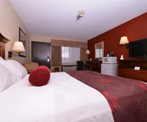 Photo 5 - Best Western Plus Rama Inn
