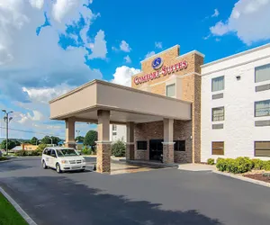 Photo 2 - Comfort Suites Airport in Alcoa, TN