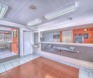 Photo 3 - Motel 6 San Antonio, TX - Fiesta