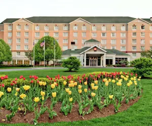 Photo 2 - Hilton Garden Inn Albany Airport