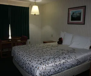 Photo 5 - Roosevelt Inn Mount Rushmore