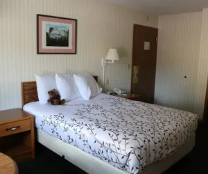 Photo 5 - Roosevelt Inn Mount Rushmore