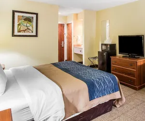 Photo 5 - Quality Inn Darien - North Brunswick