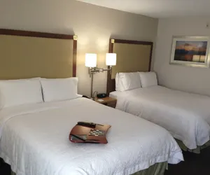 Photo 4 - Hampton Inn Tampa/Rocky Point-Airport