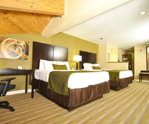 Photo 5 - Best Western Norwalk