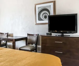 Photo 3 - Quality Inn & Suites University/Airport