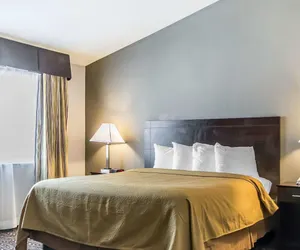 Photo 4 - Quality Inn & Suites University/Airport