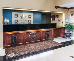 Photo 5 - Comfort Inn North Conroe