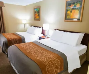 Photo 5 - Comfort Inn New Holland Amish Country